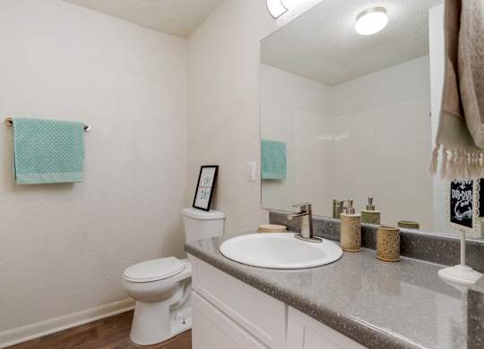 Bathroom at Lakeshore Landing Apartments, Ridgeland, MS