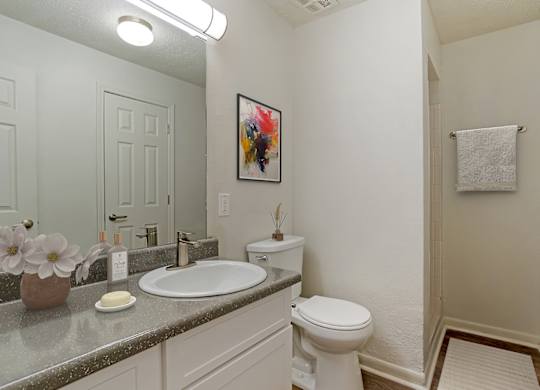 Luxurious Bathrooms at Lakeshore Landing Apartments, Mississippi