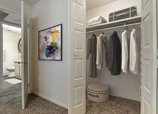 Walk-In Closet at Lakeshore Landing Apartments, Ridgeland, MS