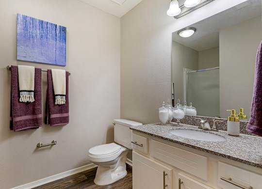 Bathroom at North Creek, Southaven, MS, 38671