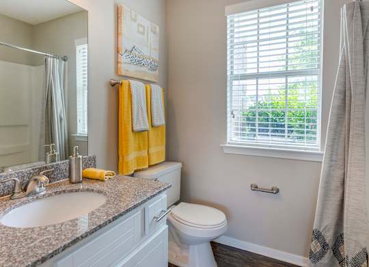 Bathroom With Bathtub at North Creek, Southaven, MS, 38671