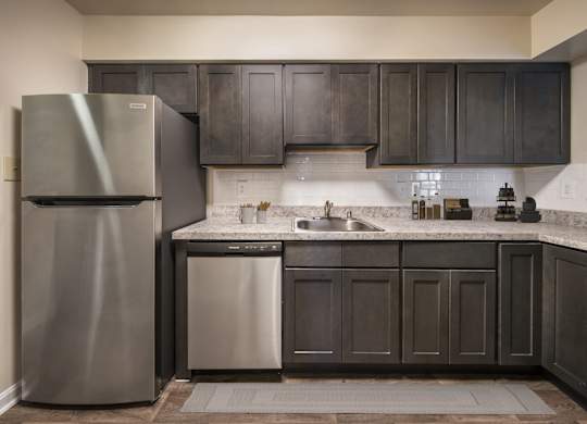 Appliances in the kitchen at The Apartments at Owings Run, Owings Mills, 21117