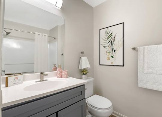 Modern Bathroom at The Apartments at Owings Run, Owings Mills
