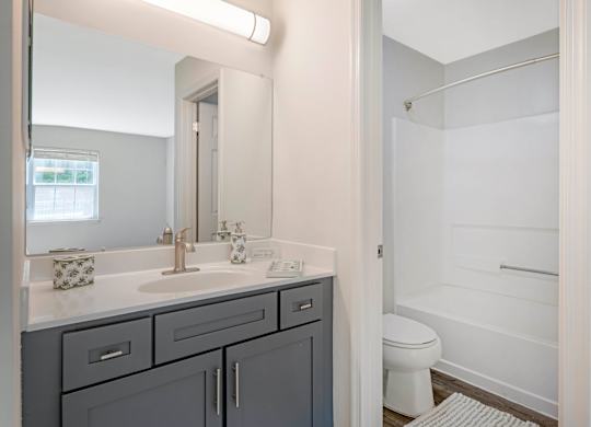 Bathroom With Bathtub at The Apartments at Owings Run, Owings Mills, MD, 21117