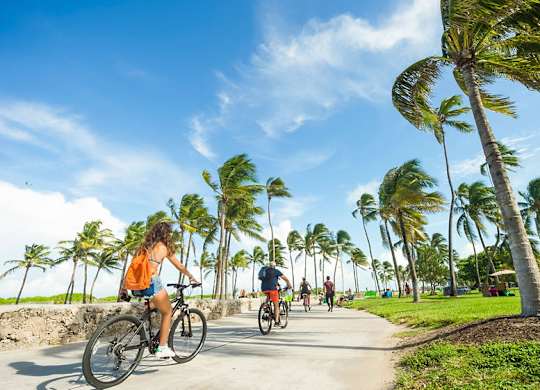 a group of people riding bikes down the beach with palm trees at The Hamilton, Miami, Florida