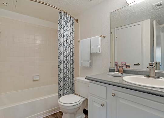 Bathroom With Bathtub at Reflection Pointe, Flowood, MS