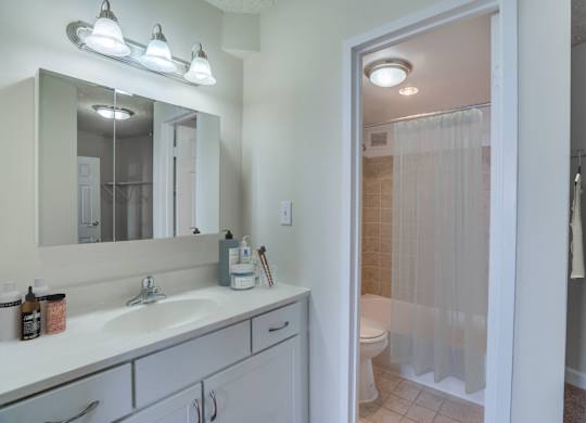 Bathroom at Seminary Towers, Virginia