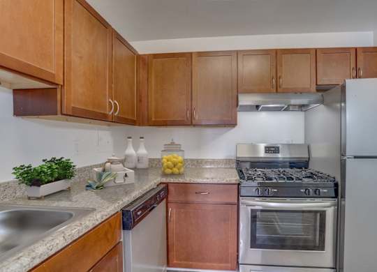 Kitchen appliances at Seminary Towers, Virginia