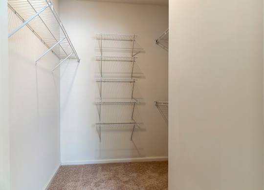 Closet at Skyland Exchange Apartments, Asheville, NC, 28803