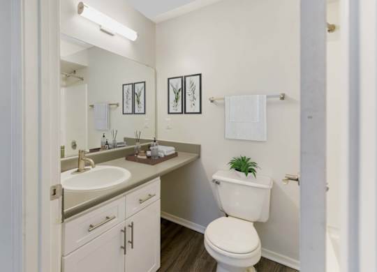 Bathroom at Southaven Pointe Apartments, Mississippi