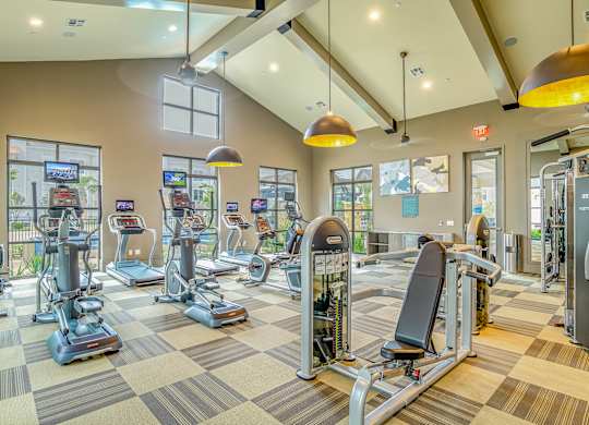 Fitness Center With Modern Equipment at Stone Loch Apartments, Tomball, TX