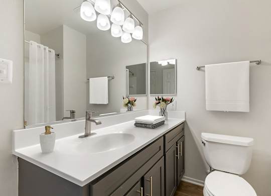Luxurious Bathroom at The Apartments at Tamar Meadow, Columbia, Maryland
