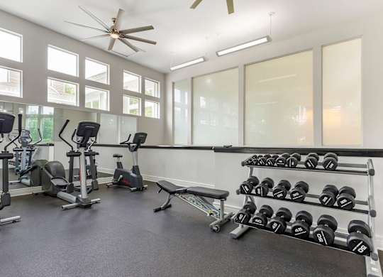 Fitness Center at The Apartments at Tamar Meadow, Columbia, 21045