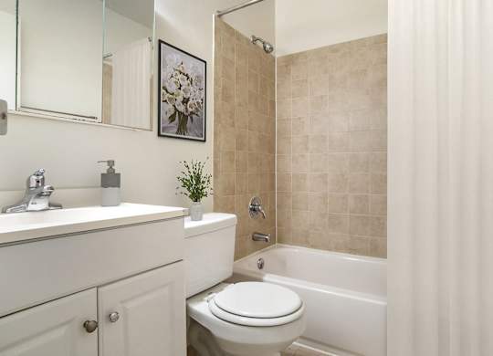 A Bathroom with Shower Curtains at The Manor/The Manor East Apartments, Virginia, 20176