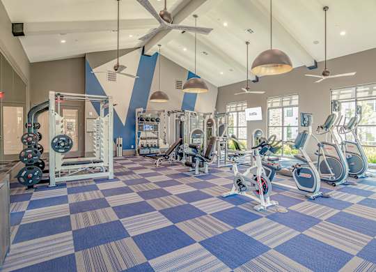 Fitness at The Rosemary Apartments, Humble, 77346