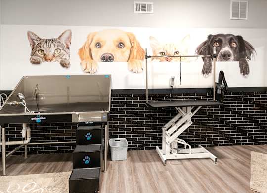Pet Therapy at The Cosmopolitan, Tulsa, OK, 74119