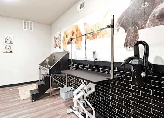 Pet Spa at The Cosmopolitan, Oklahoma , 74119