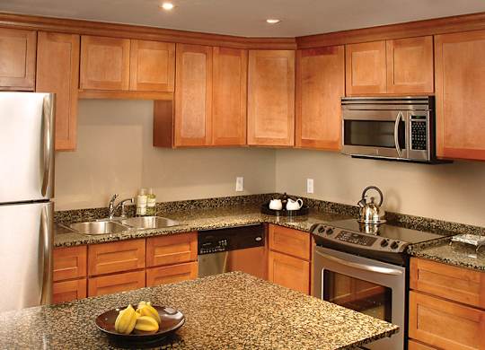 Energy Efficient Appliances & Light Fixtures