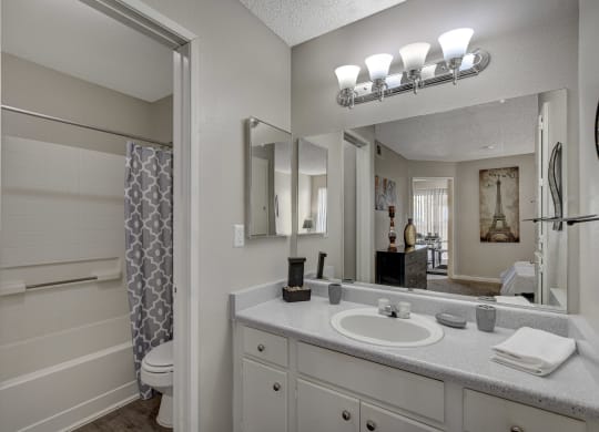 Luxurious Bathrooms at Citrus Apartments, Las Vegas, Nevada, 89101