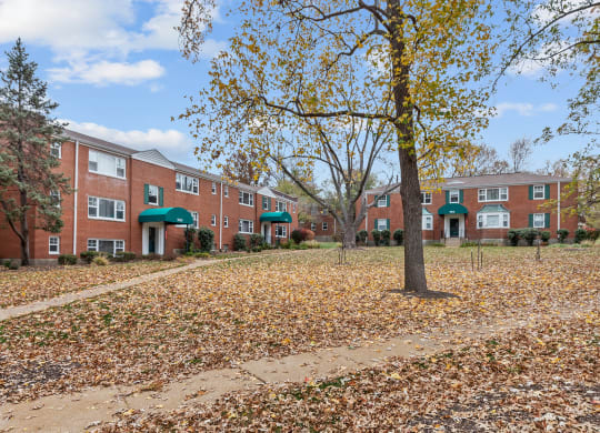our apartments are located in a quiet neighborhood with autumn leaves on the ground