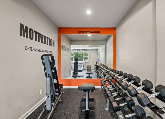 24-Hour Fitness Center With Free Weights at the enclave at woodbridge apartments in sugar land, tx