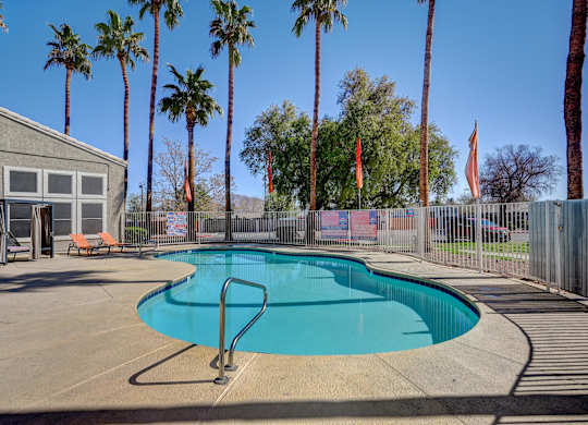 A pool surrounded by palm trees and a fence.