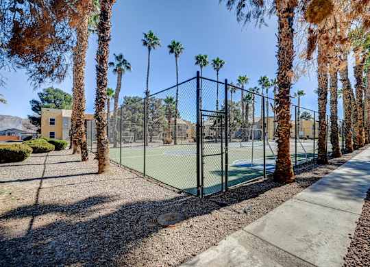 A tennis court surrounded by tall palm trees.