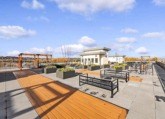 A park with a wooden walkway and benches.