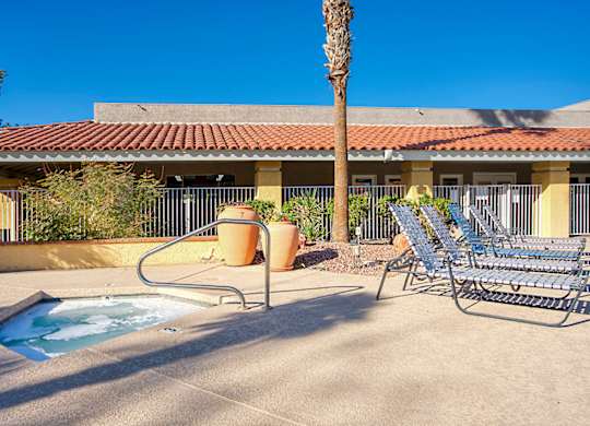 A pool area with a hot tub, chairs, and a palm tree.