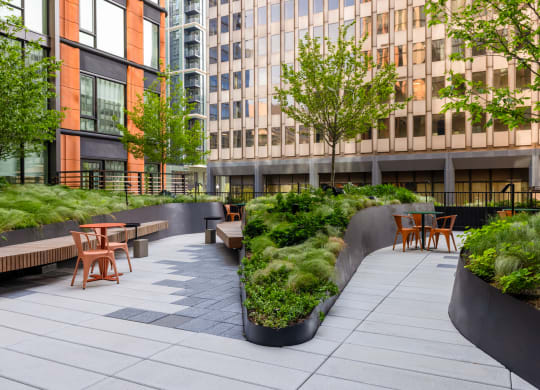 an outdoor seating area with benches and plants in front of a building at The Grace and Reva, Arlington, VA, 22202