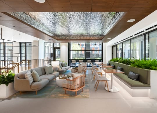 a lobby with couches tables and chairs and windows at The Grace and Reva, Arlington