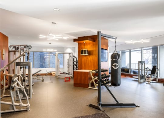 a workout room with weights and a punching bag in front of a window at 220 Twentieth Street, Arlington, VA