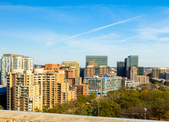 a view of the city with skyscrapers and trees