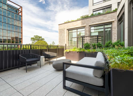 the terrace of a building with couches and chairs and plants at The Grace and Reva, Virginia