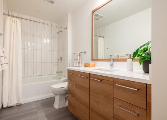 a bathroom with a toilet sink and shower and a mirror at The Grace and Reva, Arlington, Virginia