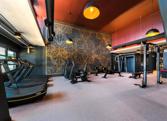 a home gym with a mural on the wall