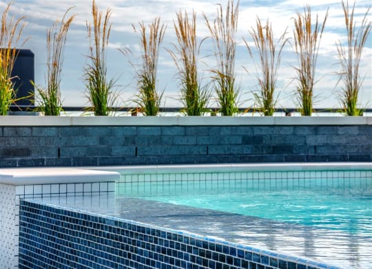a swimming pool with blue tiles and tall grass in the background