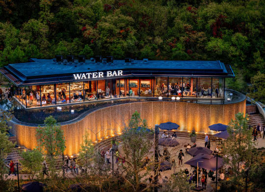 an aerial view of a water bar surrounded by trees at The Grace and Reva, Arlington, 22202