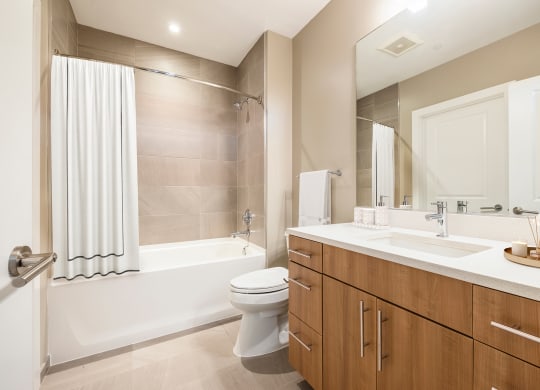 a bathroom with a bathtub toilet and sink  at The Bartlett, Virginia
