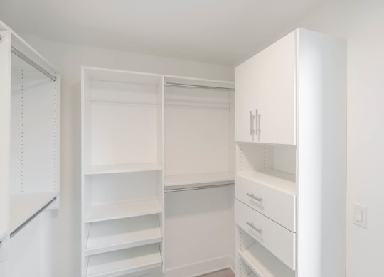 Premium Luxury Units Master Closet