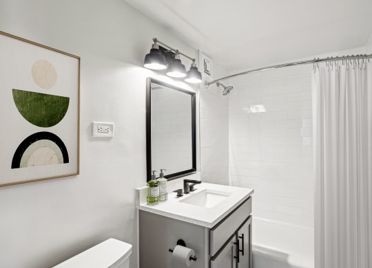 a bathroom with a sink and a mirror and a shower