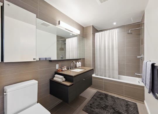 a bathroom with a sink and a toilet and a shower