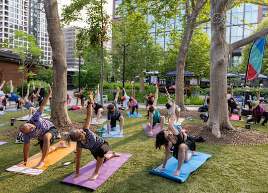 A group of people doing yoga in a park.