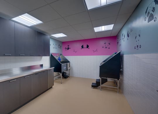 a kitchen with a sink and a counter and a pink wall
