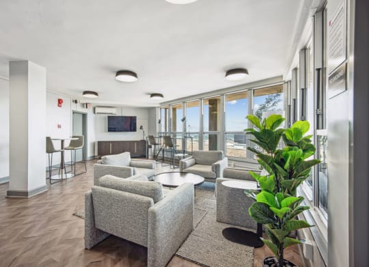 a living room with couches and chairs and a large plant