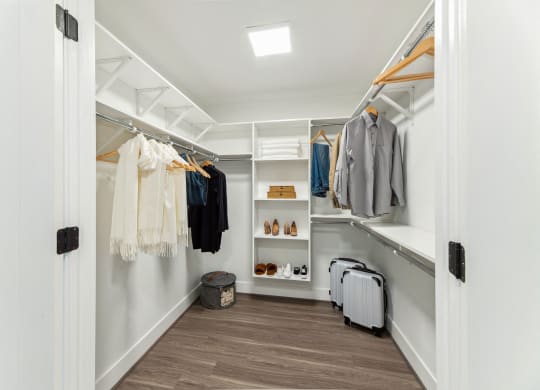 a walk in closet with white walls and wooden floors and a white closet with shelves at The Grace and Reva, Virginia, 22202