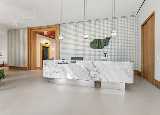 A reception area with a marble counter and a green plant.