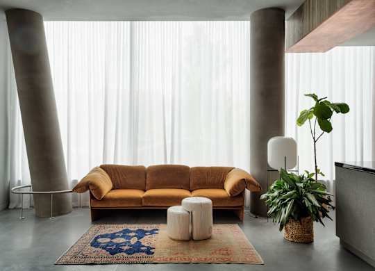 A living room with a brown sofa, a rug, and a potted plant.