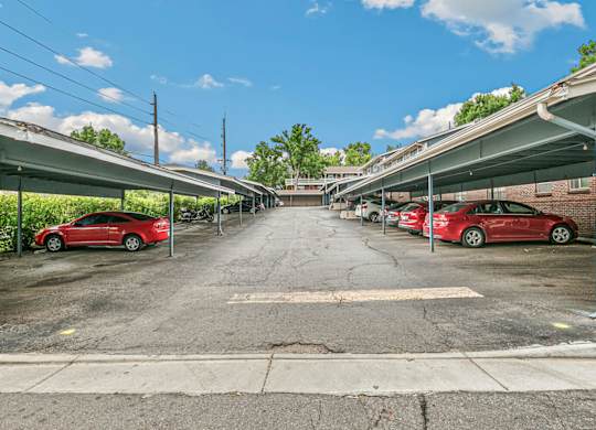 A parking lot with red cars and a white car in the middle.