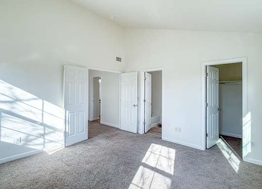 A sunny room with white doors and carpeted floor.